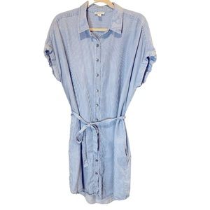 Goodthreads Blue/ white striped button down dress